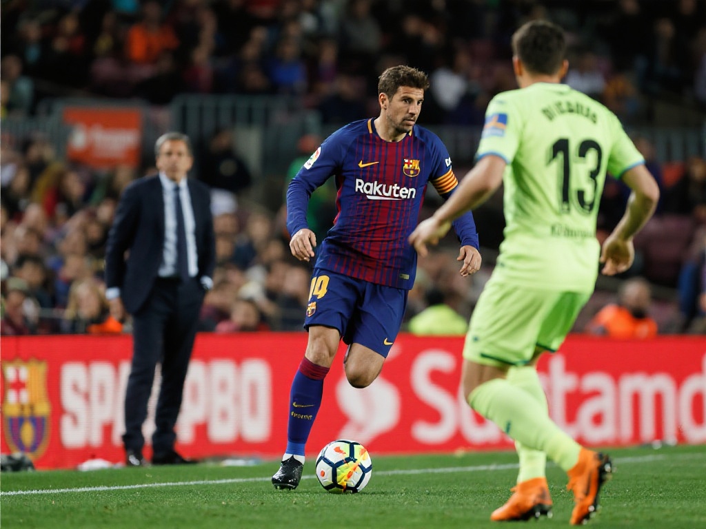 无疑证明了 无疑证明了